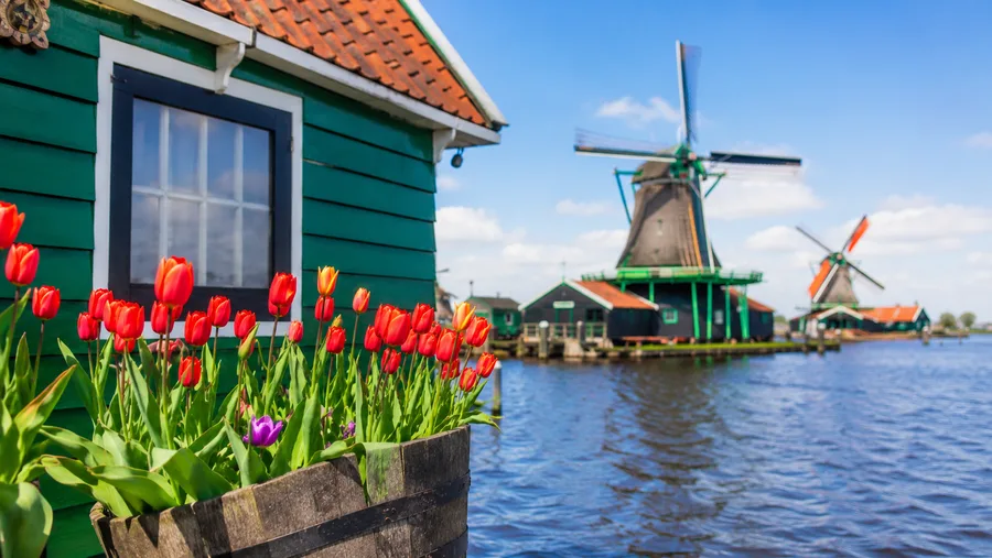 How to Get to Zaanse Schans from Amsterdam