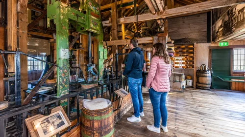 Discover the Museums